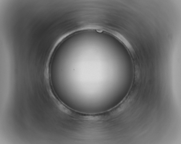 X0000110920996200906251414