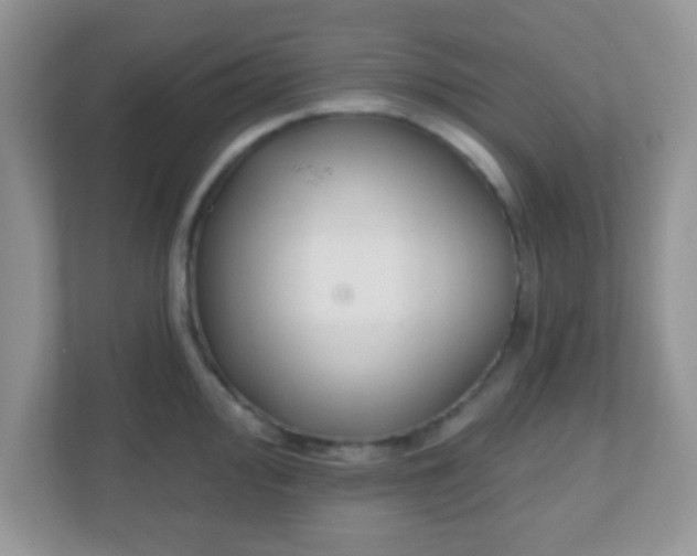 X0000110921000200906251414