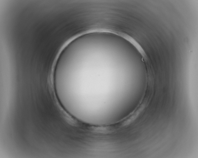 X0000110921004200906251414