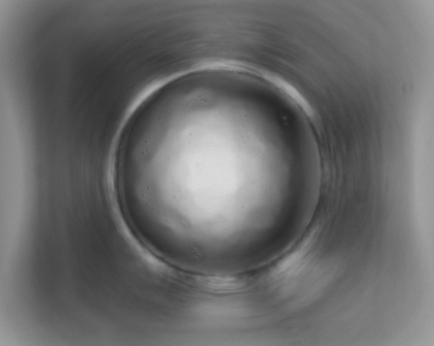 X0000110921007200906251414