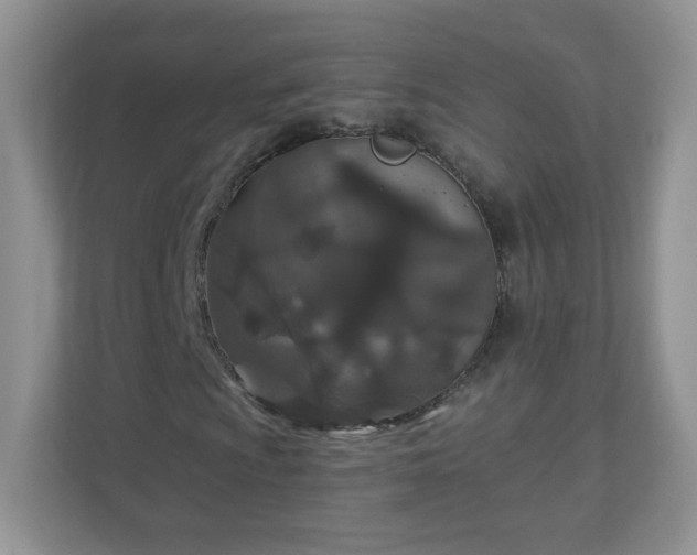 X0000110921009200906251414