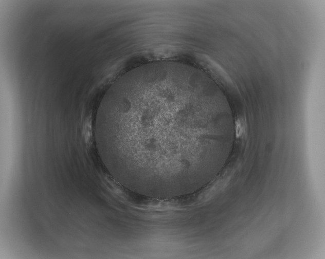 X0000110921011200906251414