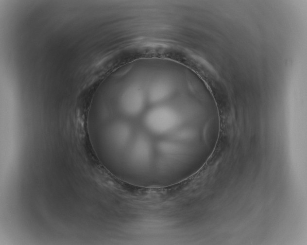 X0000110921013200906251414