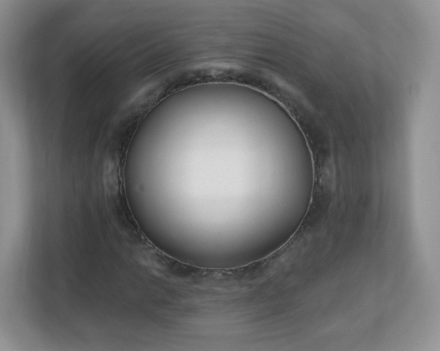 X0000110921014200906251414