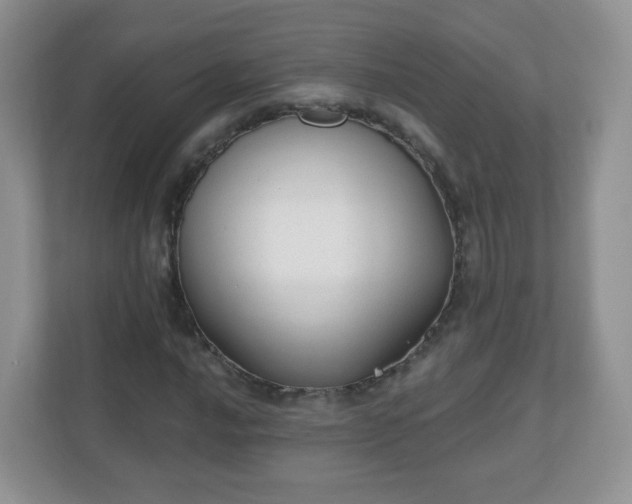X0000110921016200906251414