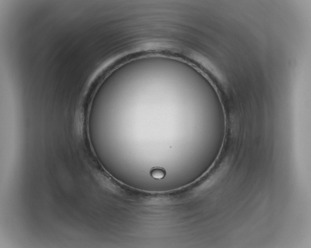X0000110921021200906251414