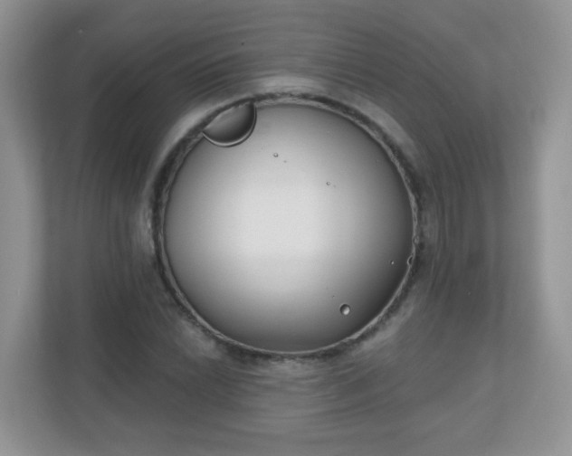 X0000110921022200906251414