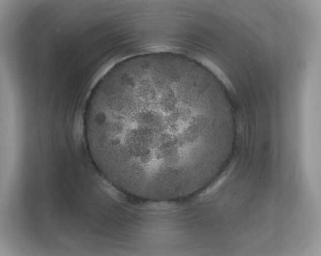 X0000110921023200906251414