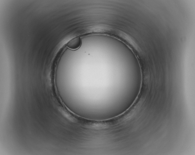 X0000110921026200906251414
