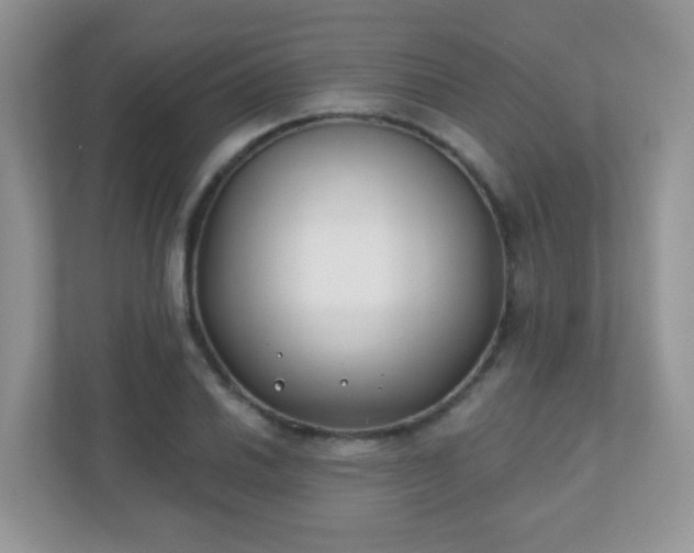 X0000110921030200906251414