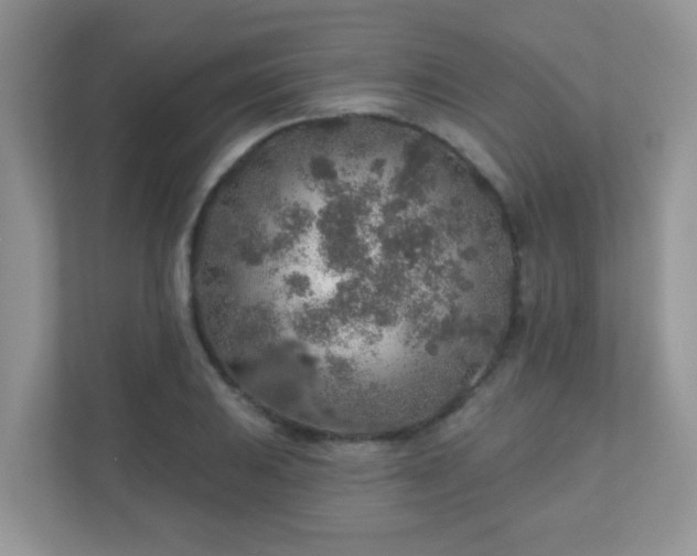 X0000110921031200906251414