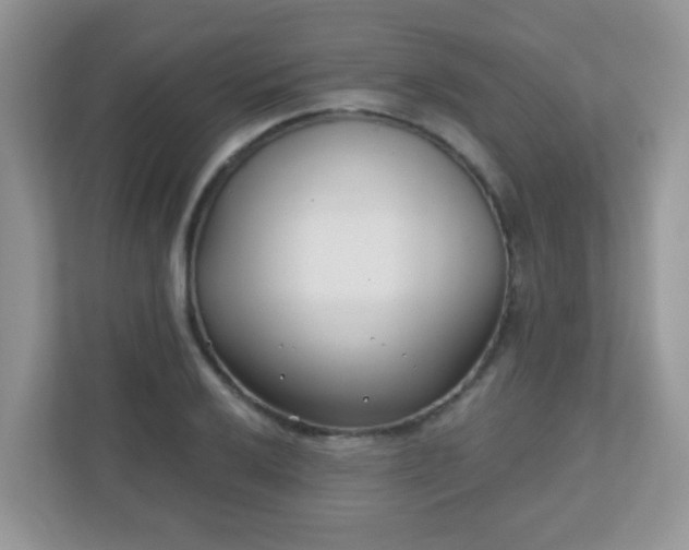 X0000110921032200906251414