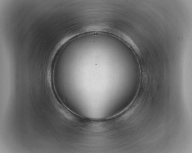 X0000110921035200906251414
