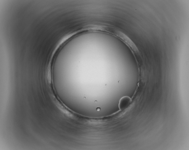 X0000110921036200906251414