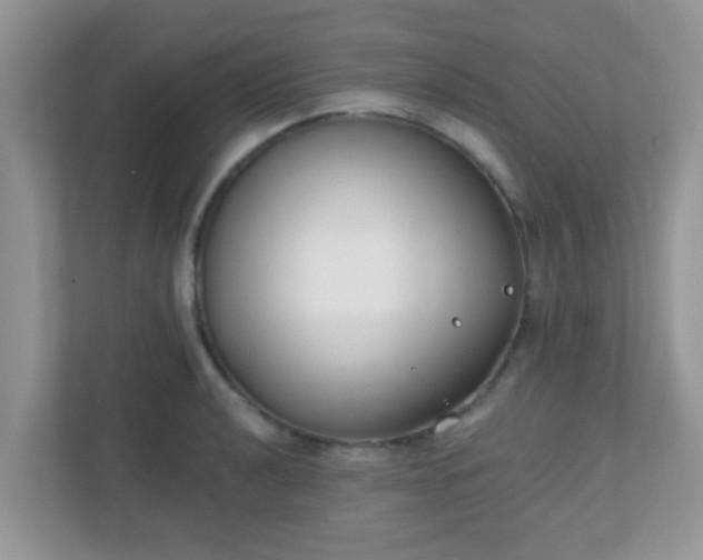 X0000110921040200906251414