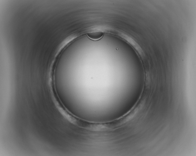 X0000110921042200906251414