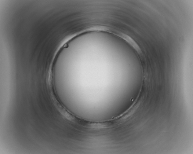 X0000110921044200906251414