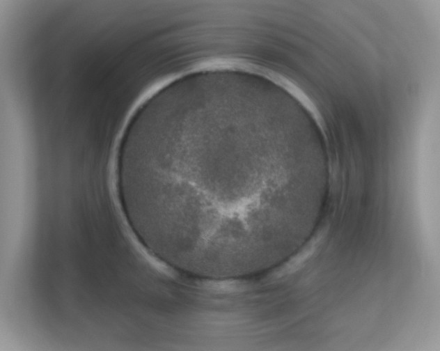 X0000110921045200906251414