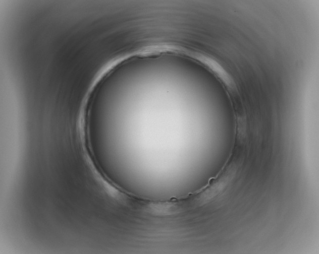 X0000110921046200906251414