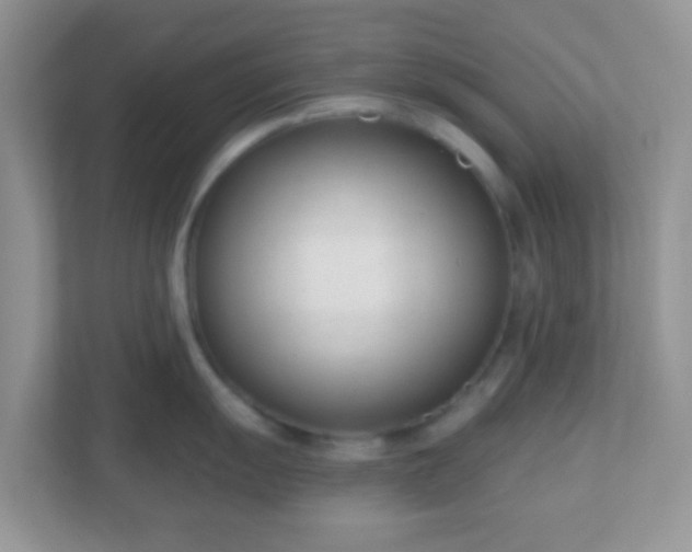 X0000110921055200906251414