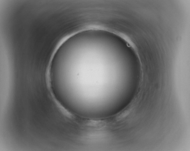 X0000110921056200906251414