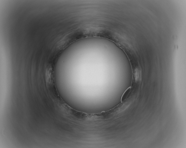 X0000110921059200906251413