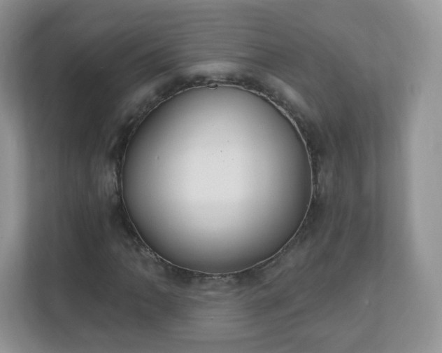 X0000110921062200906251413