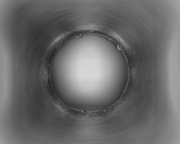 X0000110921064200906251413