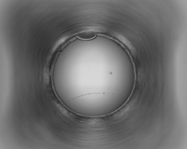 X0000110921067200906251413