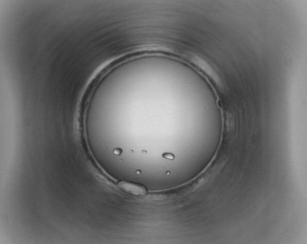 X0000110921068200906251413