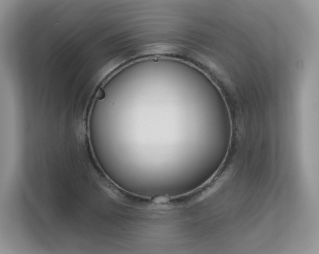 X0000110921073200906251413