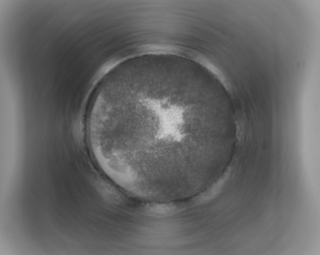 X0000110921074200906251413
