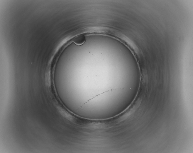 X0000110921075200906251413