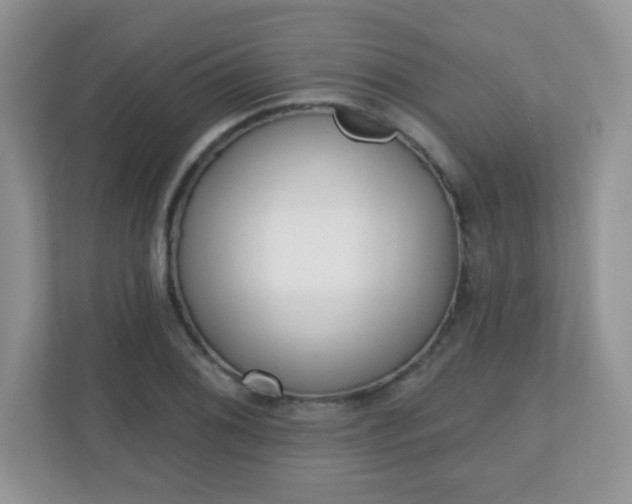X0000110921076200906251413