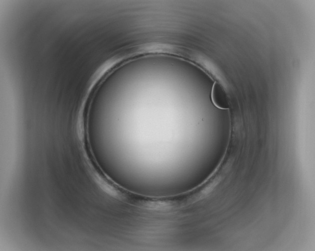 X0000110921082200906251413
