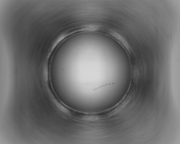 X0000110921083200906251413