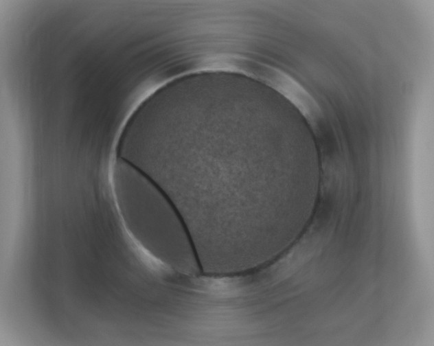 X0000110921084200906251413