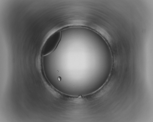 X0000110921085200906251413