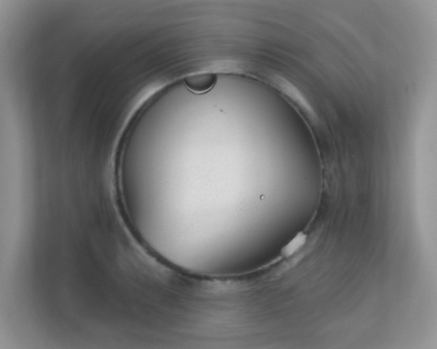 X0000110921087200906251413