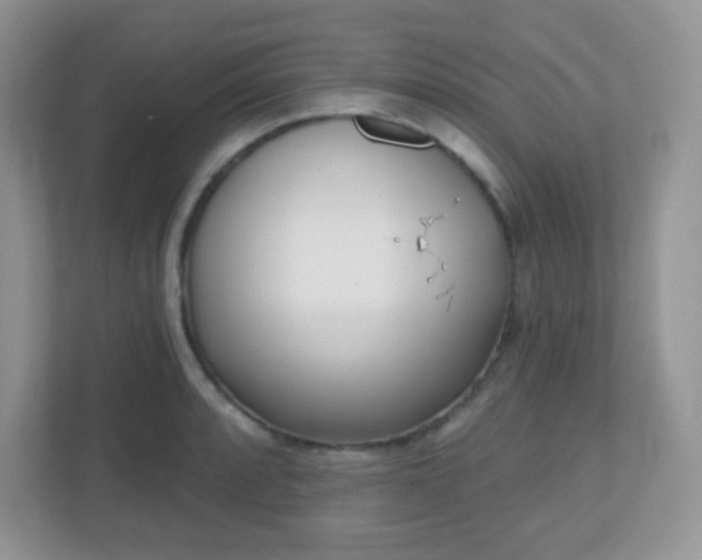 X0000110921088200906251413