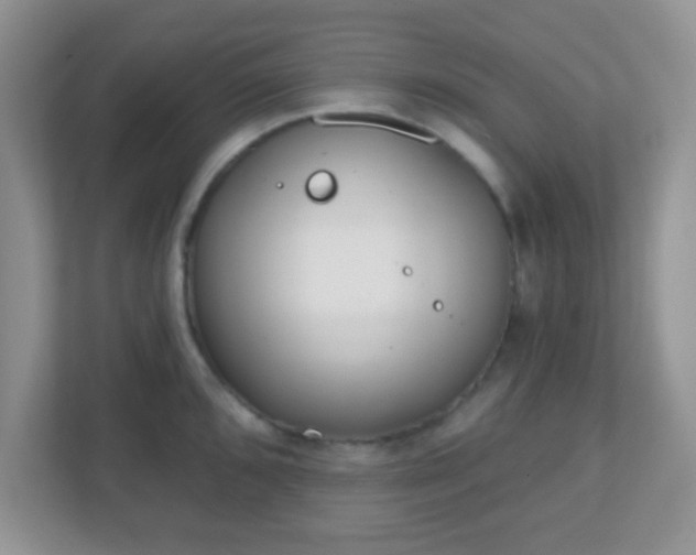X0000110921096200906251413