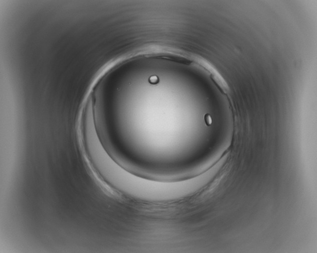 X0000110921098200906251413