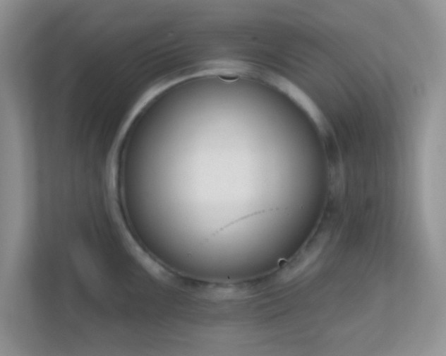 X0000110921099200906251413