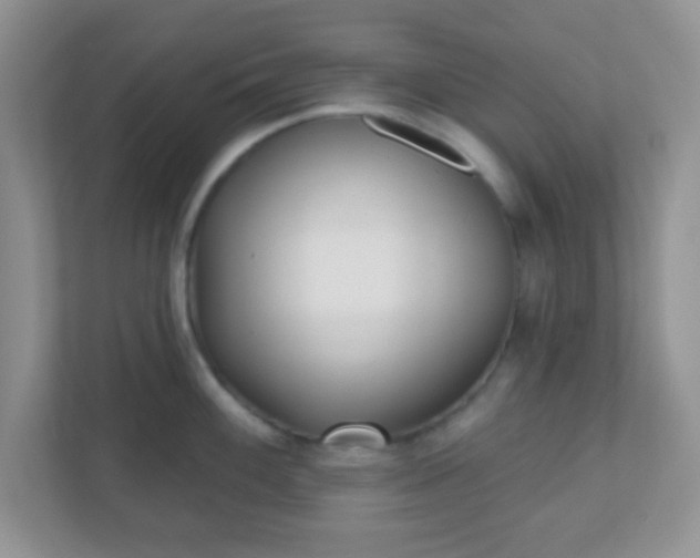 X0000110921100200906251413