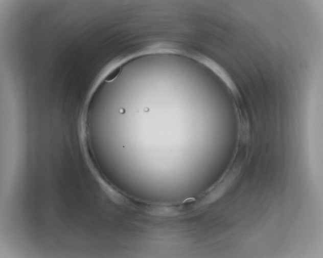 X0000110921101200906251413