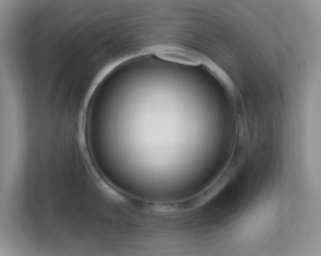 X0000110921102200906251413