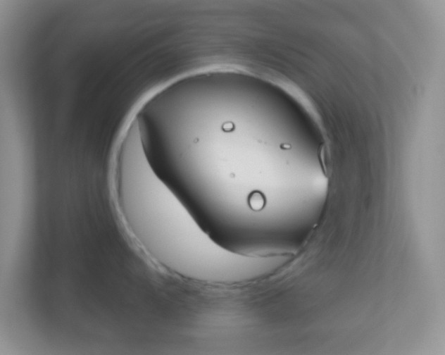 X0000110921104200906251413