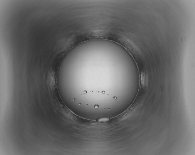 X0000110921107200906251412