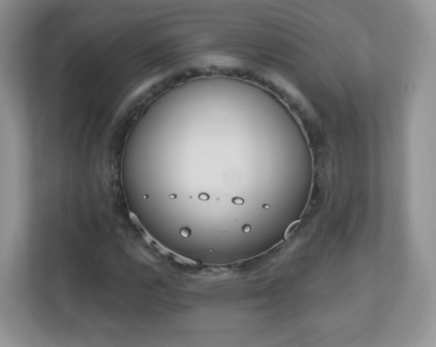 X0000110921112200906251412