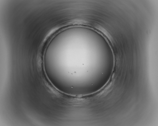 X0000110921115200906251412